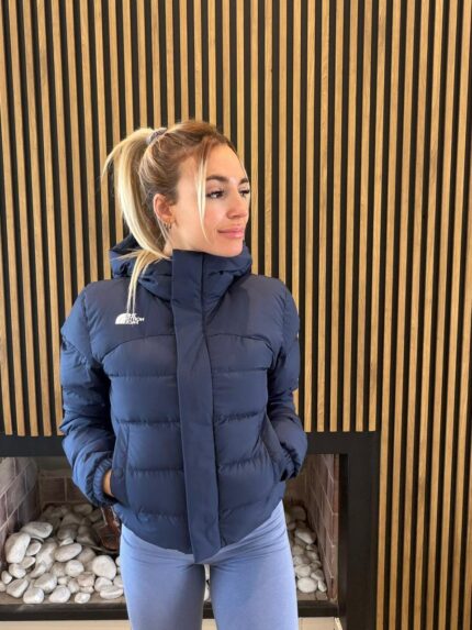 Campera THE NORTH FACE azul